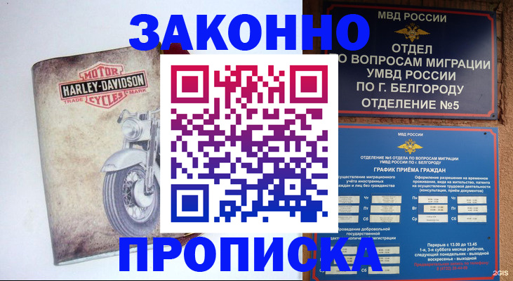прописка для школы в Болотном